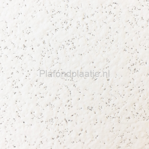 Rockfon Royal – 600 x 1200 mm