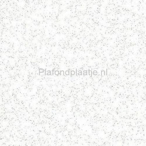 Rockfon Boxer – 600 x 1200 mm