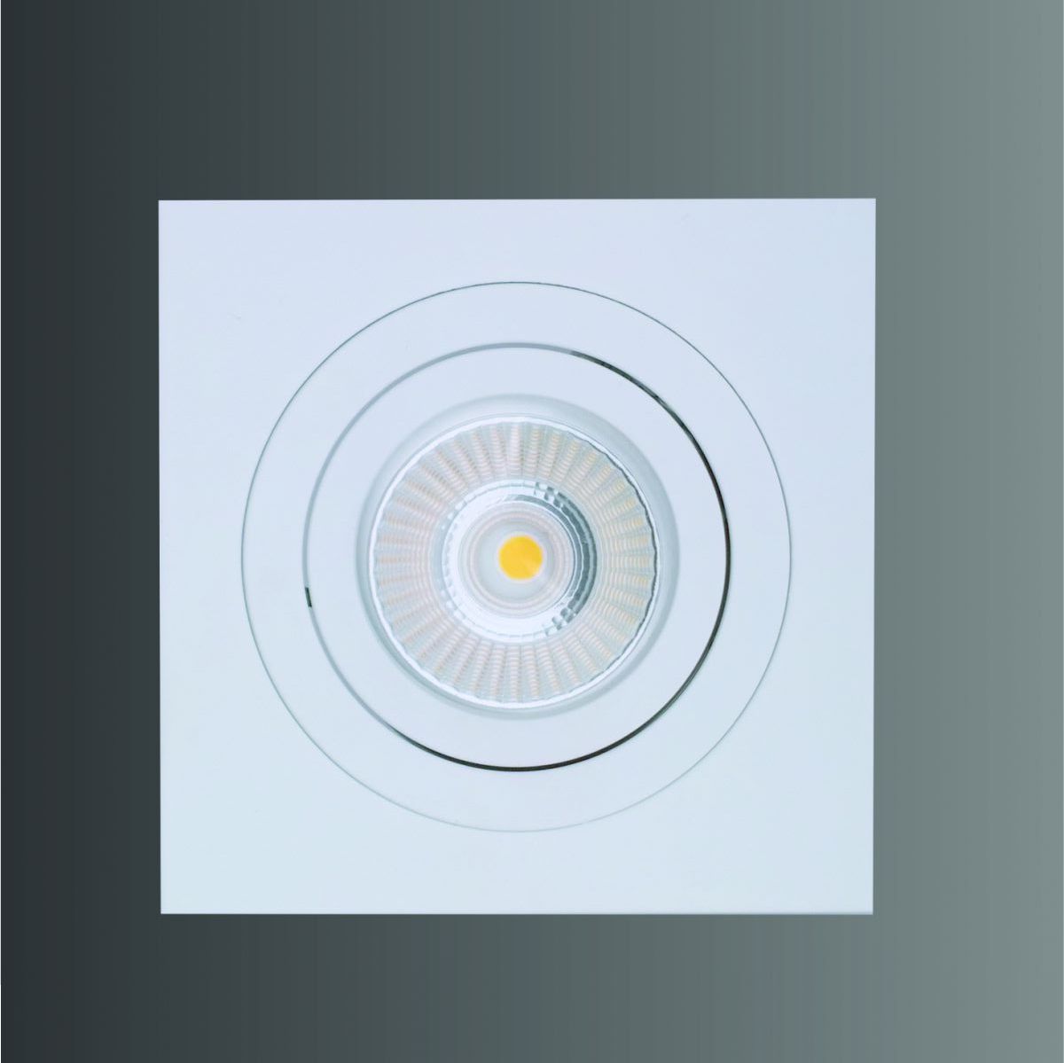 Blueline Economy Luxe Spot Plaza Square Wit 360°