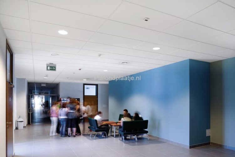 Ecophon Master – 600 x 600 mm