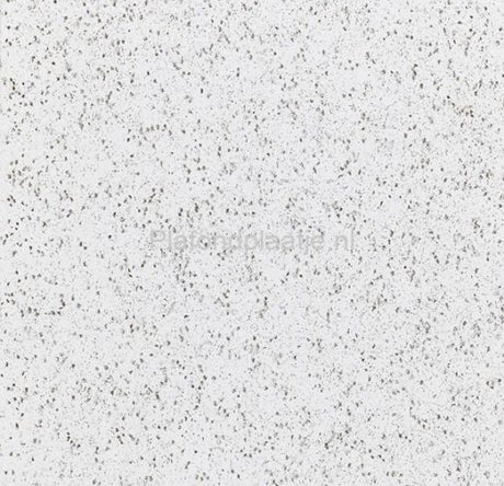Akoestische plafondplaat met microstructuur – 600x1200 mm, geschikt voor systeemplafonds in zakelijke ruimtes