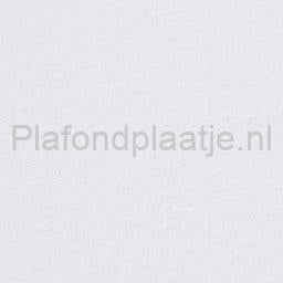 armstrong-Plain