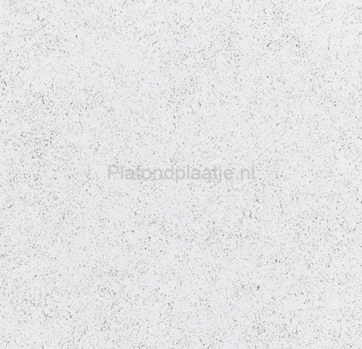 Strakke plafondplaat met glad oppervlak – 600x600 mm, geschikt voor systeemplafonds in zakelijke ruimtes