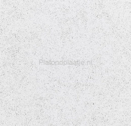 Strakke plafondplaat met glad oppervlak – 600x1200 mm, geschikt voor systeemplafonds in zakelijke ruimtes